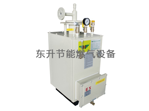 91免费看视频(LPG)防爆型91免费高清视频器(DS30—50kg／h)