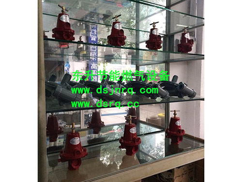 91免费看视频91免费高清视频炉  燃气减压阀
